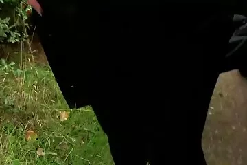 يمارس الجنس مع سكسي رقص عربي الفتاة تقريبًا مع حشد من الناس ويصب الحيوانات المنوية على وجهها