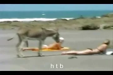 قام سائق أوبر بتدفئة سكسي عربي سكسي عربي الراكب ، ووضعها على قضيبه